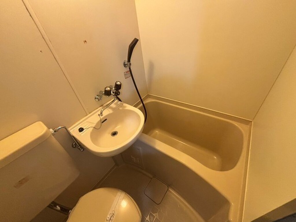 (4/29) バス (4/29) バス