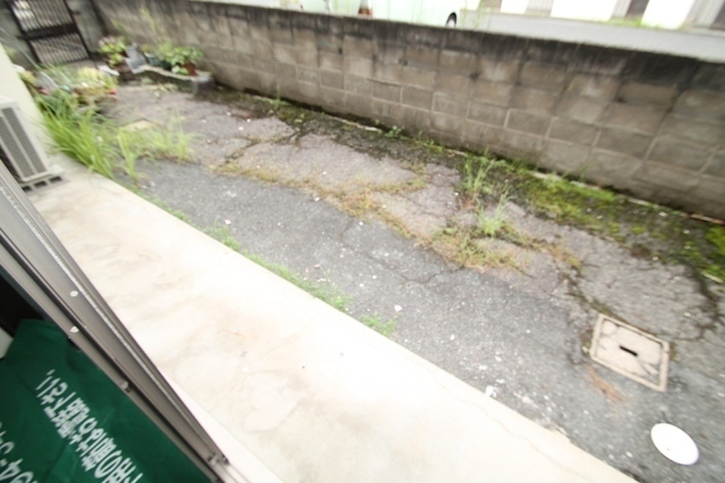 (11/23) 庭 (11/23) 庭