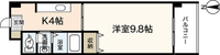 木もれ陽