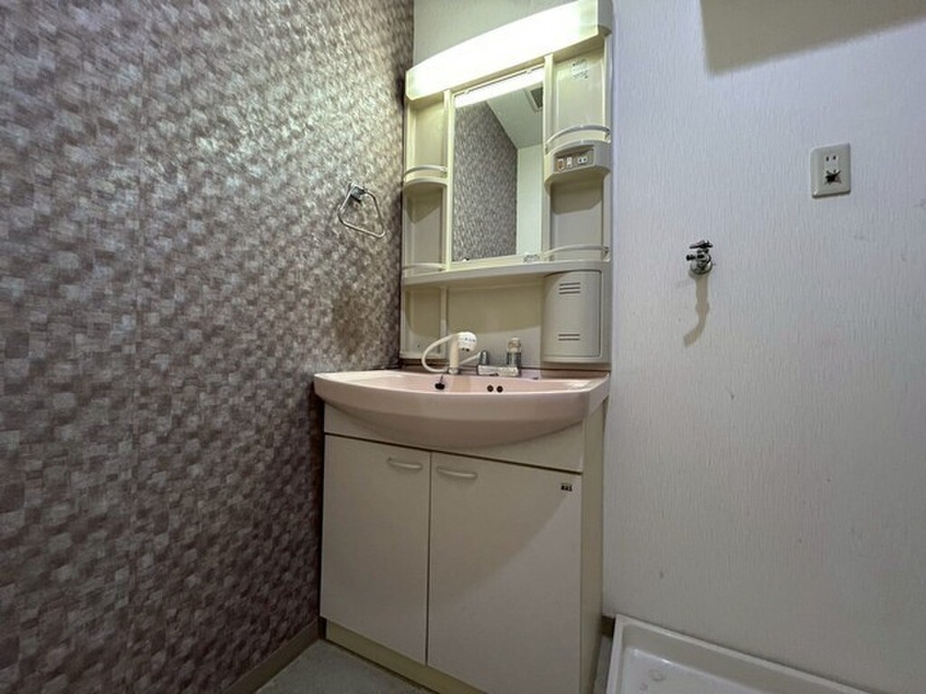 (6/34) 洗面所
