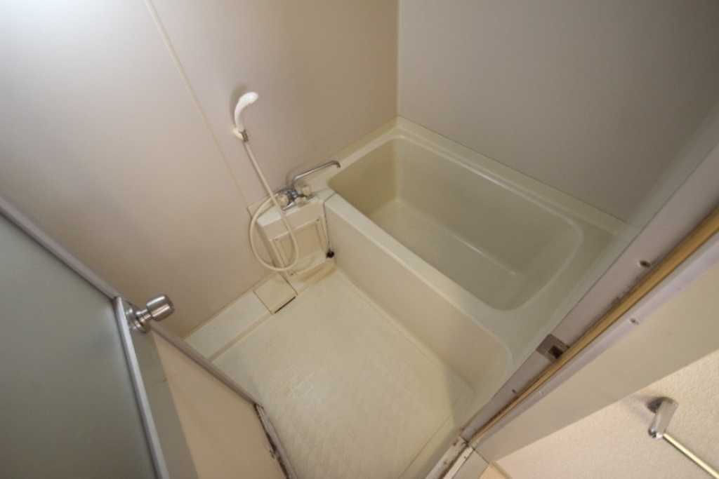 (4/31) バス (4/31) バス