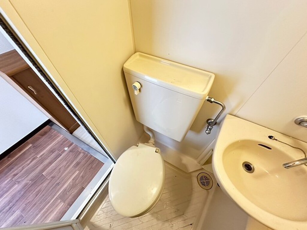 (5/24) トイレ (5/24) トイレ