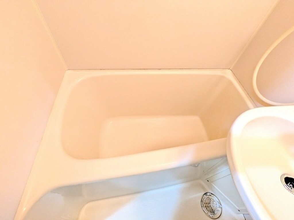 (6/29) バス (6/29) バス