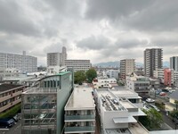 バオバブ白島