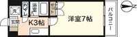 バオバブ白島