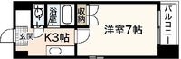 バオバブ白島