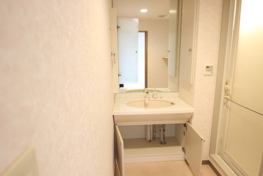 (6/20) 洗面所 (6/20) 洗面所