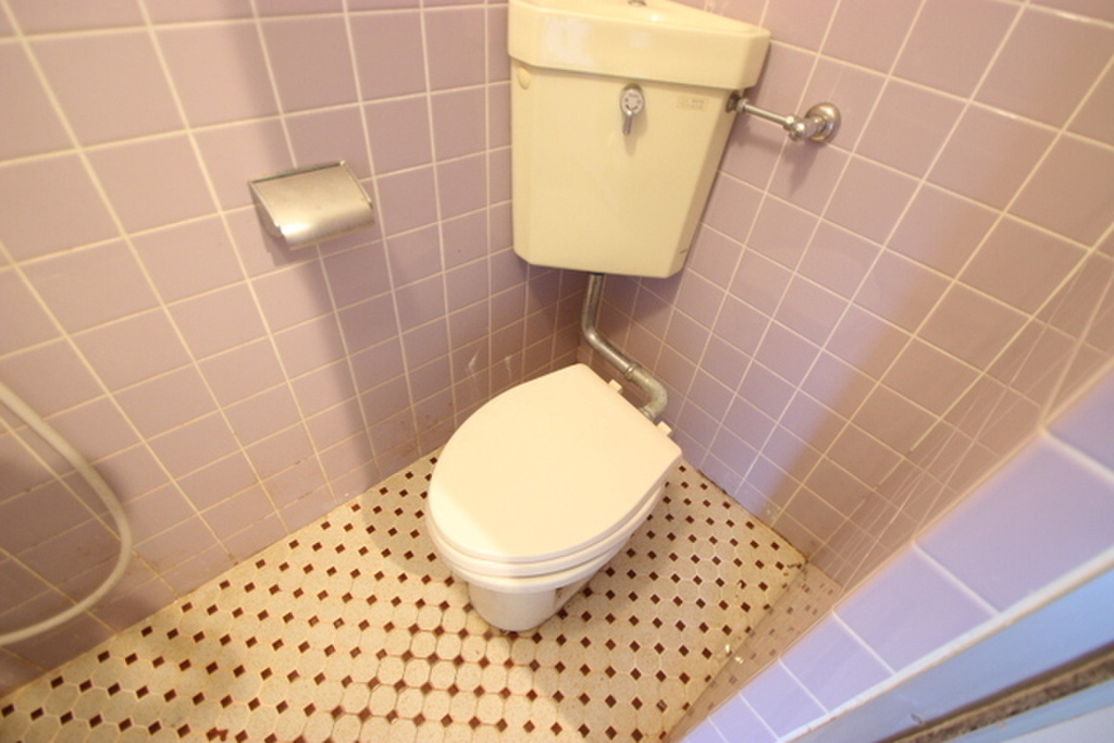 (5/24) トイレ (5/24) トイレ
