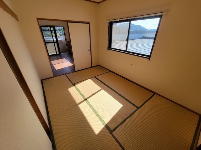 Maple Kawauchi