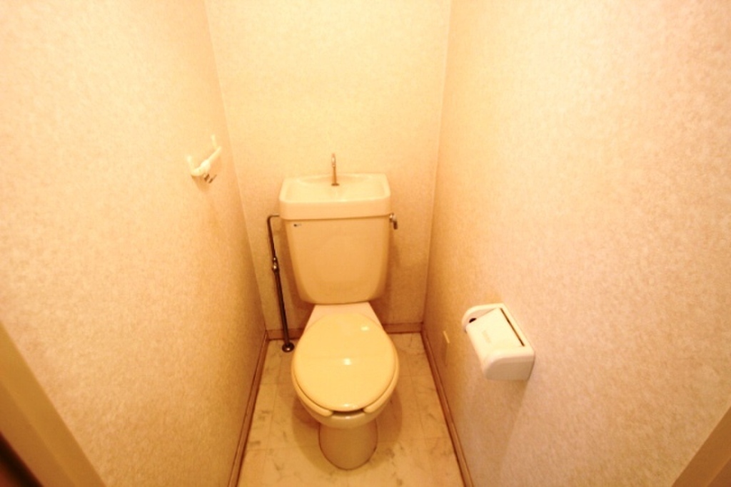 (5/30) トイレ (5/30) トイレ