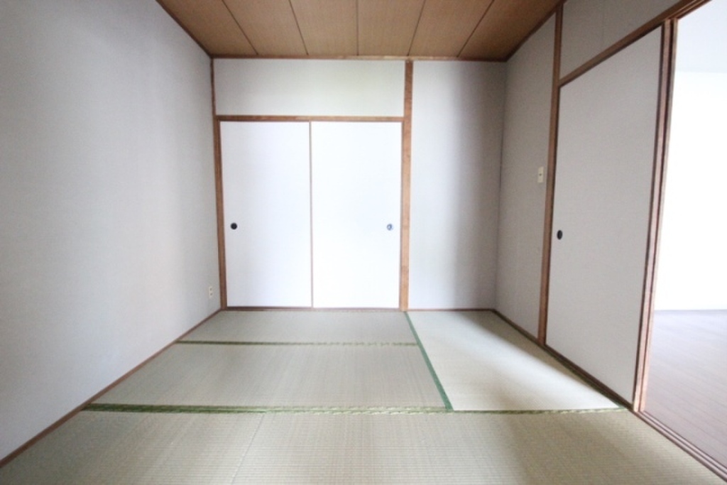 (11/26) その他 (11/26) その他