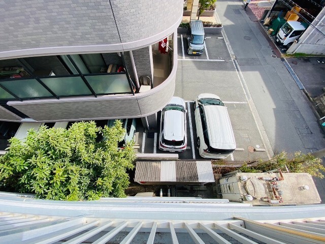 MAPLECOURT