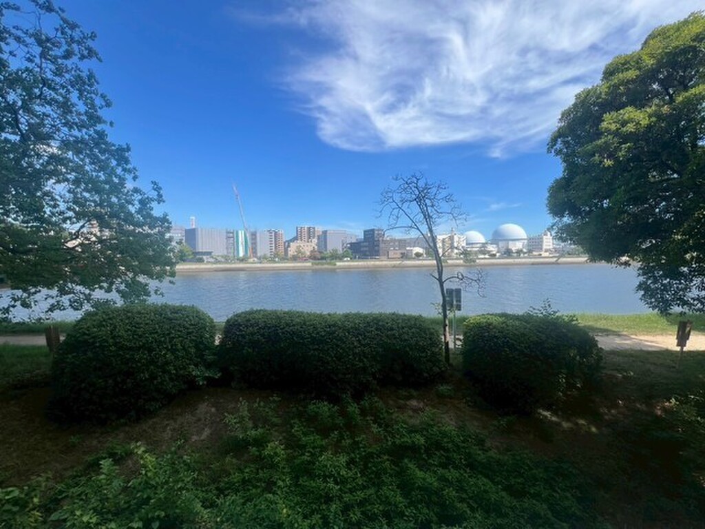 (11/16) 眺望 (11/16) 眺望