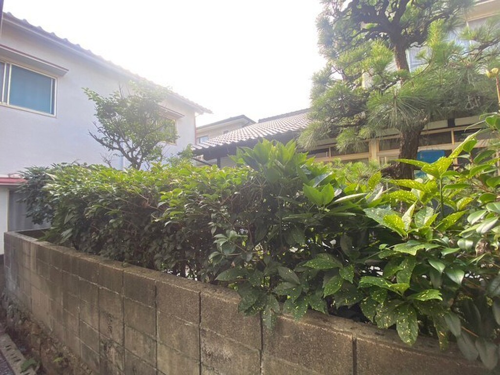 (2/22) 眺望 (2/22) 眺望