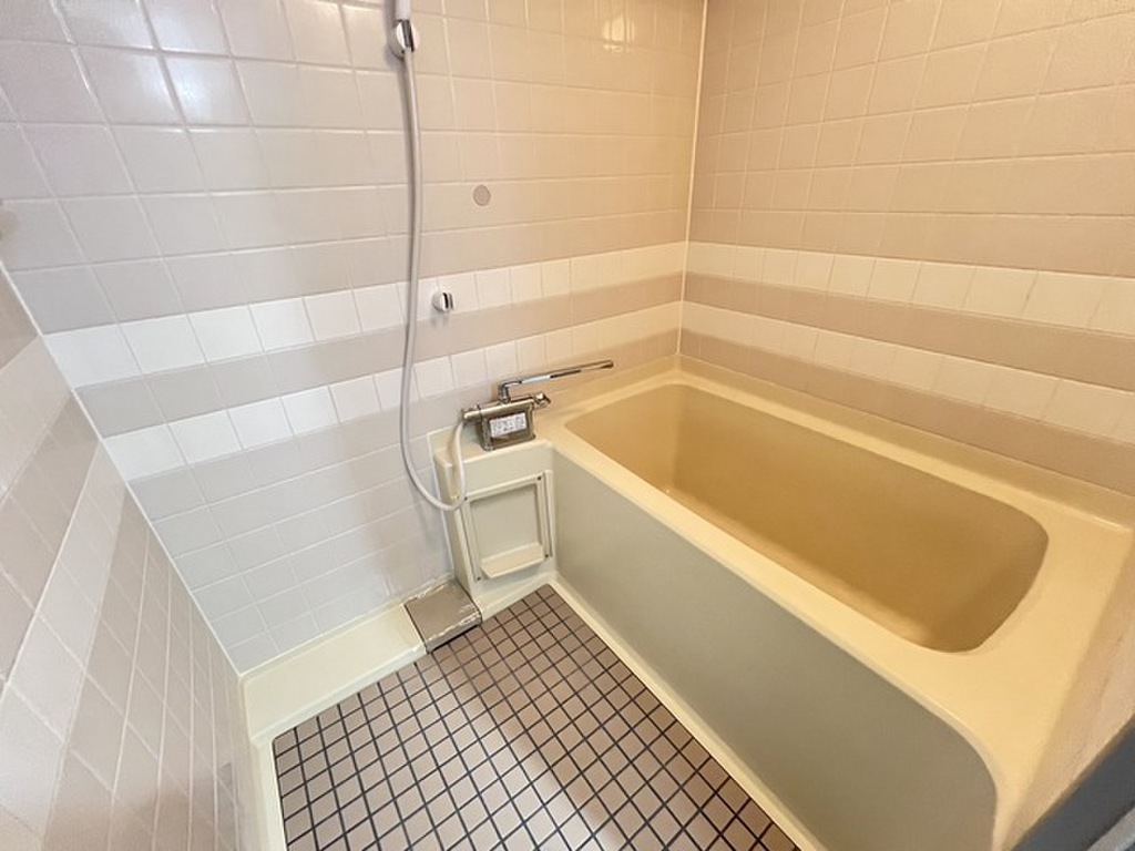 (5/18) バス (5/18) バス