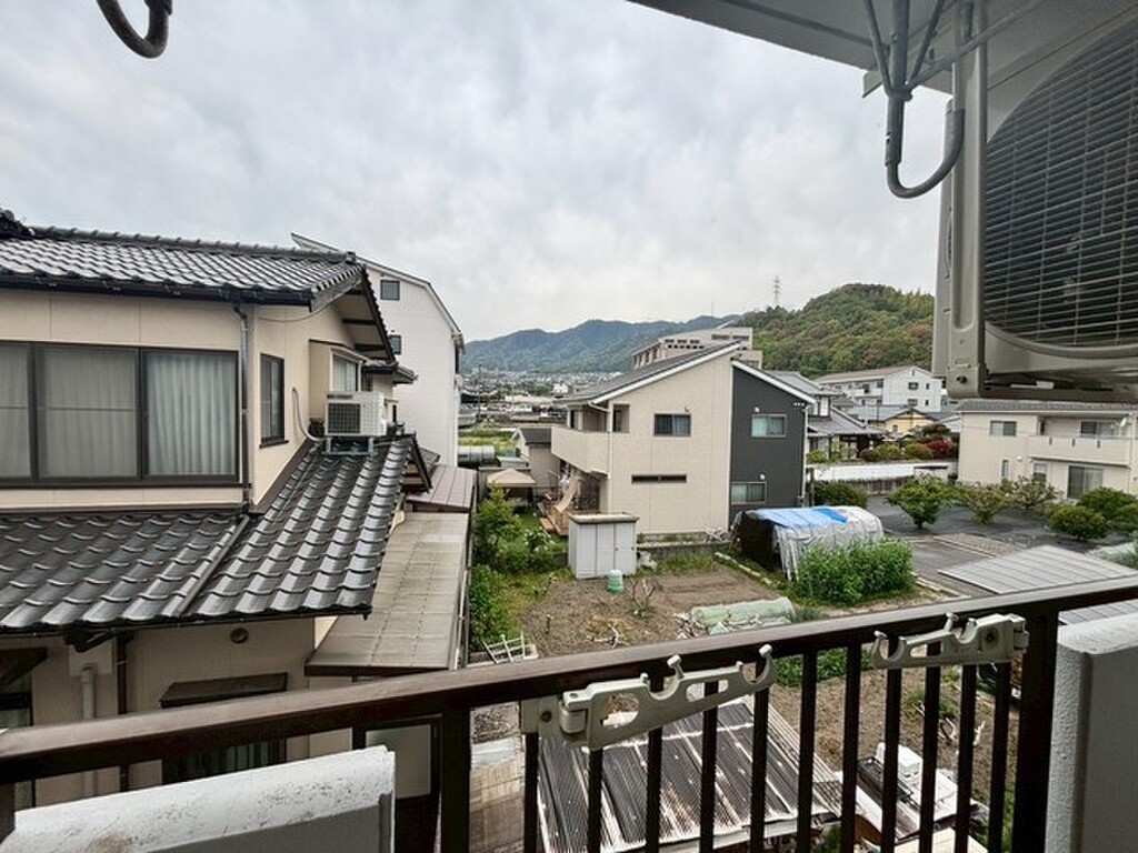 (11/25) 眺望 (11/25) 眺望