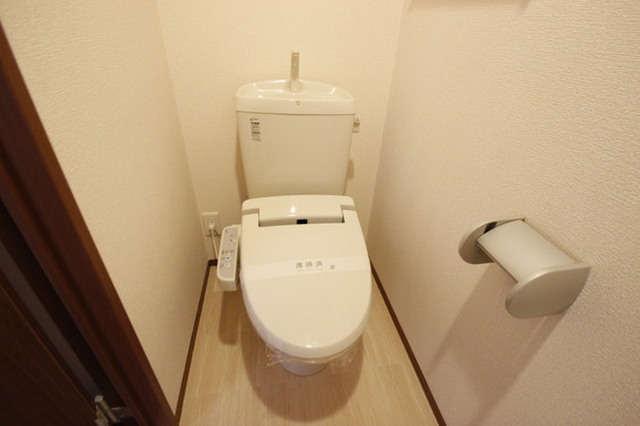 ひまわり