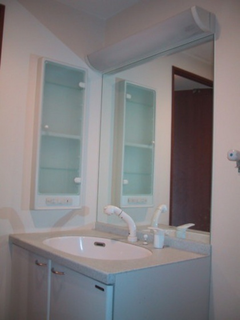 (6/25) 洗面所 (6/25) 洗面所