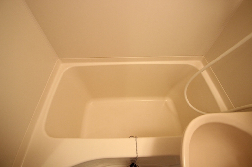 (4/24) バス (4/24) バス