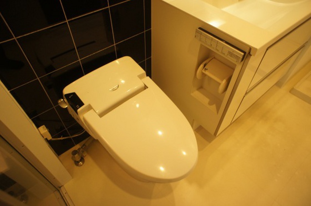 (5/25) トイレ (5/25) トイレ