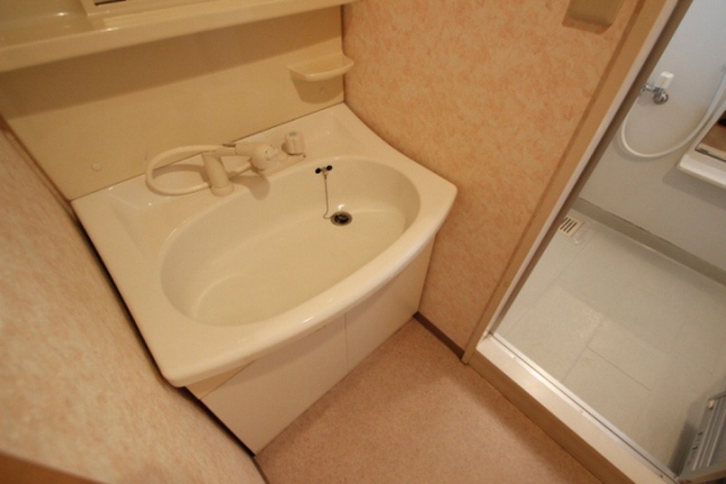 (6/25) 洗面所 (6/25) 洗面所