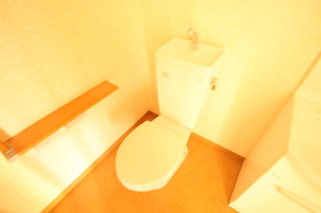 (5/24) トイレ (5/24) トイレ