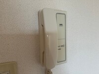 ルーナパッソ