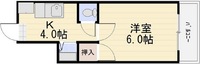 SHIMONS11