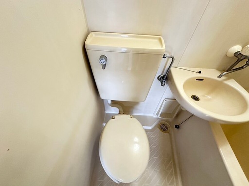 (8/21) トイレ (8/21) トイレ