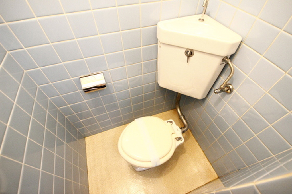 (5/19) トイレ (5/19) トイレ