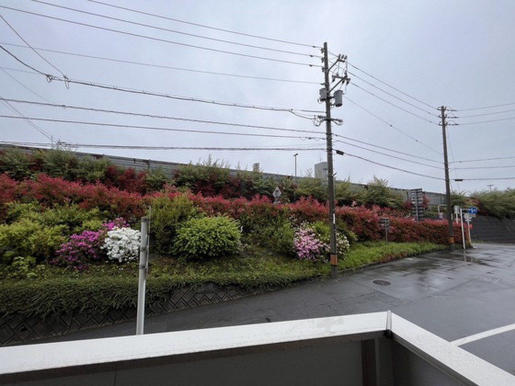 (3/26) 眺望 (3/26) 眺望