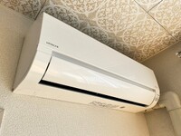 エルディム猫田