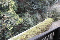 ※別部屋の写真です