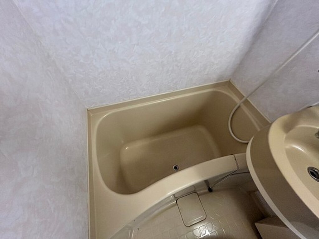 (7/22) バス (7/22) バス