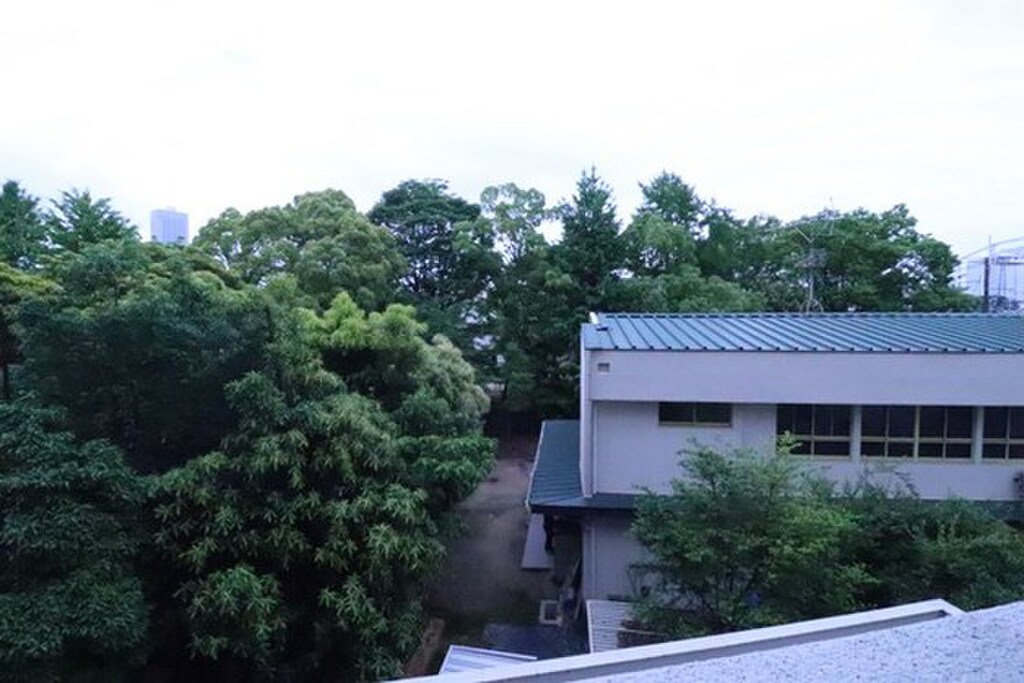 (13/27) ※別号室の写真です。