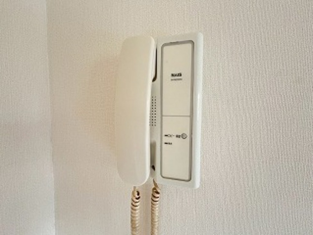 (11/21) ※別号 (11/21) ※別号