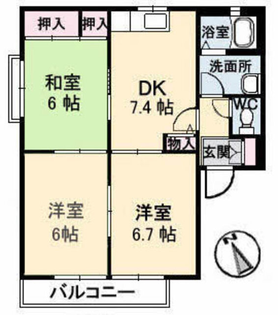 ディアス椎の木