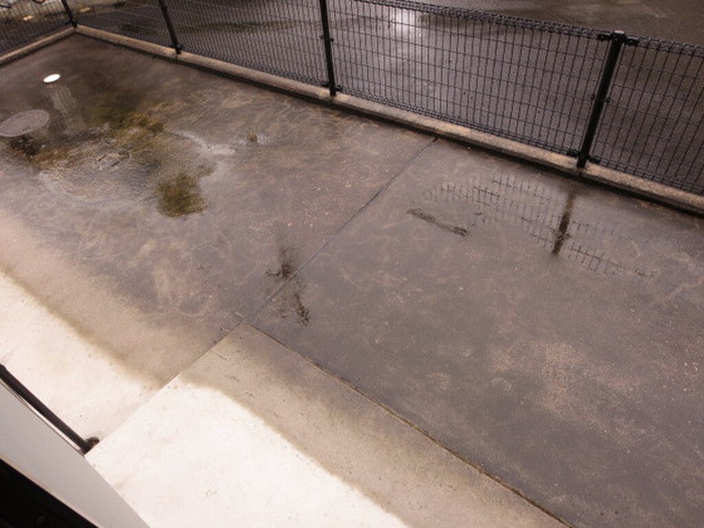 (12/23) バルコニー