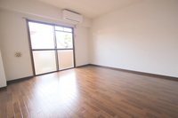 ハーシオンフルタⅢ