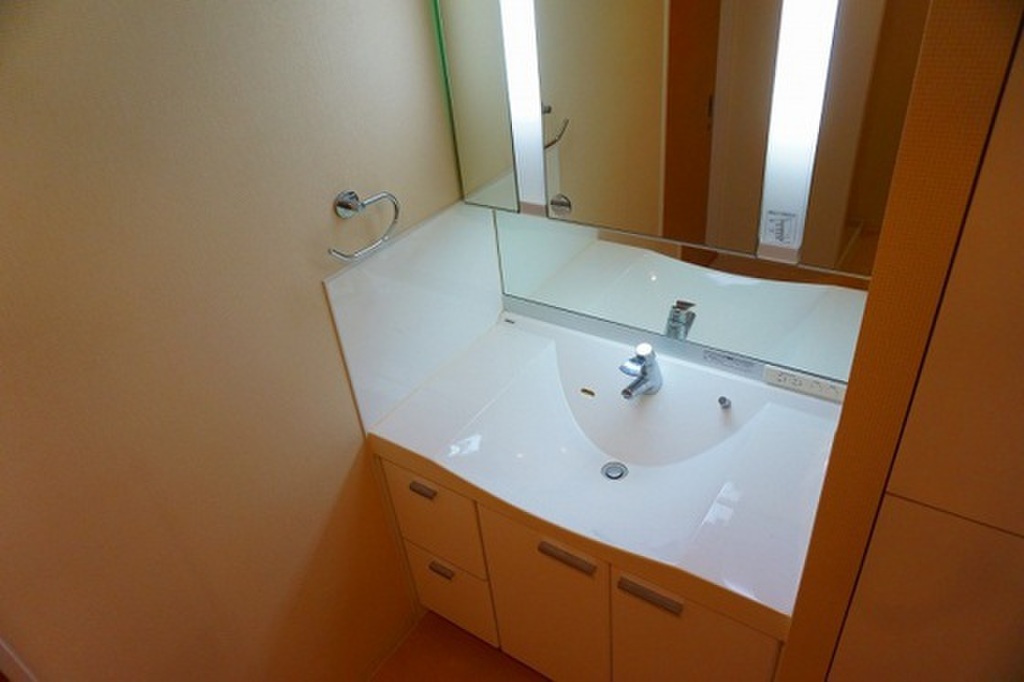 (6/19) 洗面所 (6/19) 洗面所