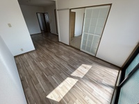 ハイカムール玉木