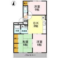 ハイカムール玉木