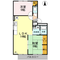 ハイカムール玉木