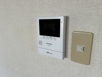 ハイカムール玉木