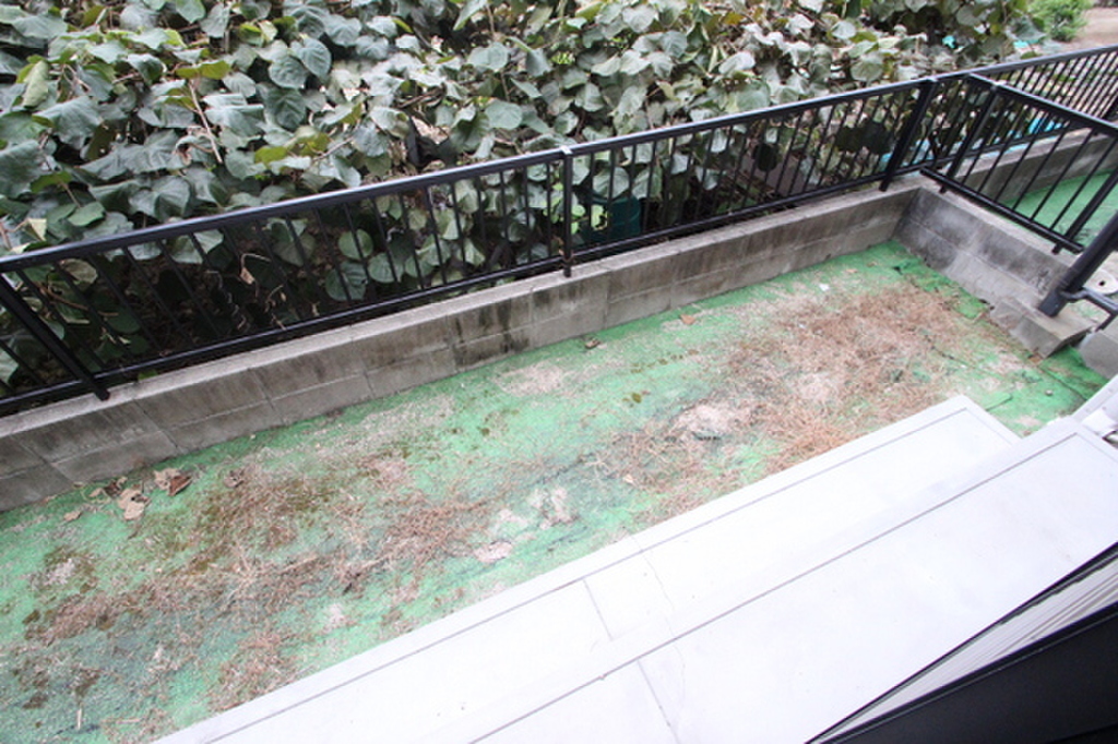 (8/22) 庭 (8/22) 庭