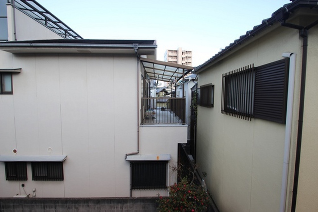 (11/21) 眺望 (11/21) 眺望