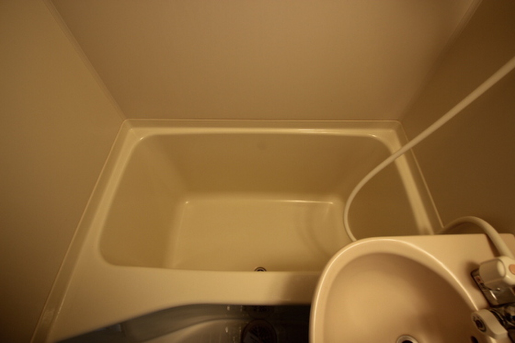 (6/19) 洗面所 (6/19) 洗面所