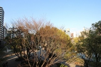 ※別号室の写真です