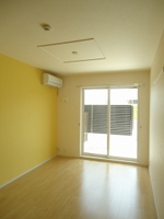 ジプソフィーラ B