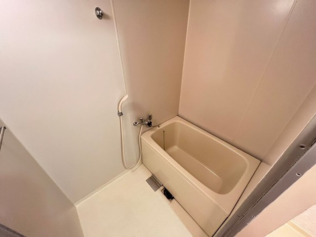 (4/29) バス (4/29) バス